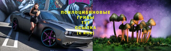марки lsd Горно-Алтайск