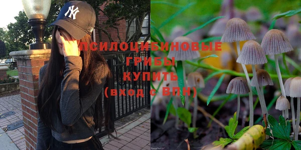 МДМА Горнозаводск