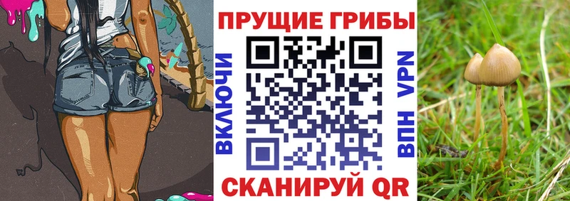 Галлюциногенные грибы прущие грибы  наркотики  Москва 