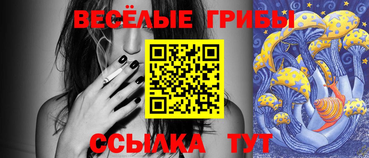 Псилоцибиновые грибы Magic Shrooms  Вход с VPN  Москва 