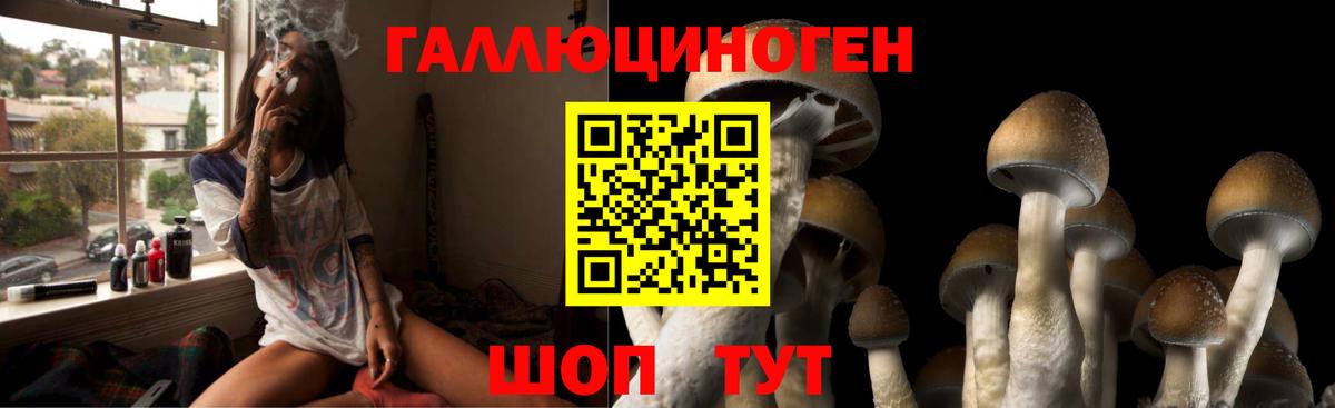Галлюциногенные грибы Magic Shrooms Москва